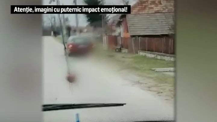 Cruzime rară în Argeş! Un câine a fost legat de o mașină și târât prin sat