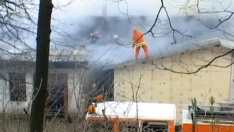 9.000 de pui au murit asfixiați în urma unui incendiu la o fermă de pui din județul Constanța