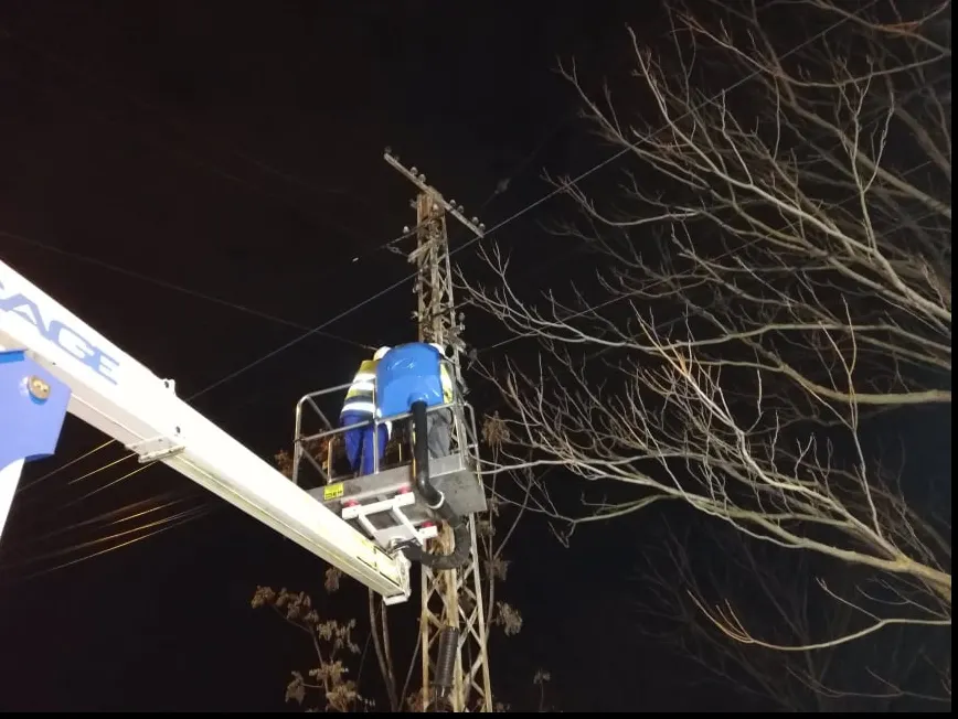 Timișoara, fără internet, programe tv și semnal la telefon din ordinul primarului Robu