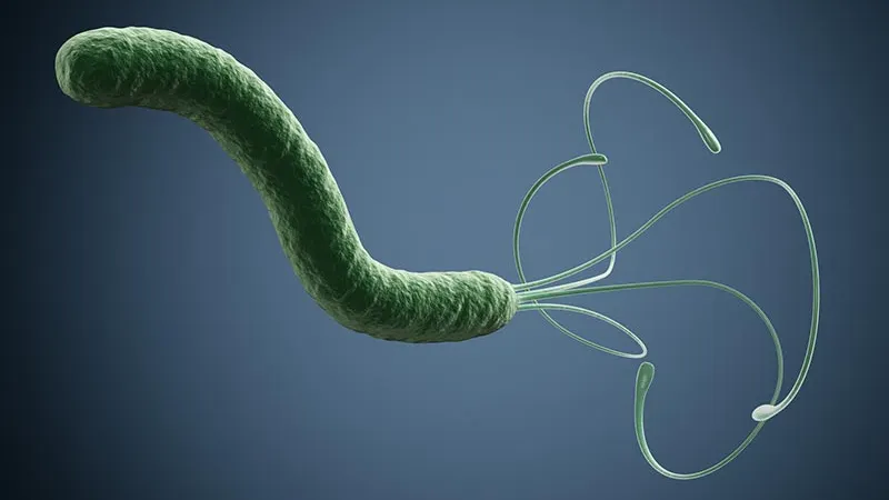 Bacteria care distruge stomacul. Se poate afla în corpul tău fără să îţi dai seama