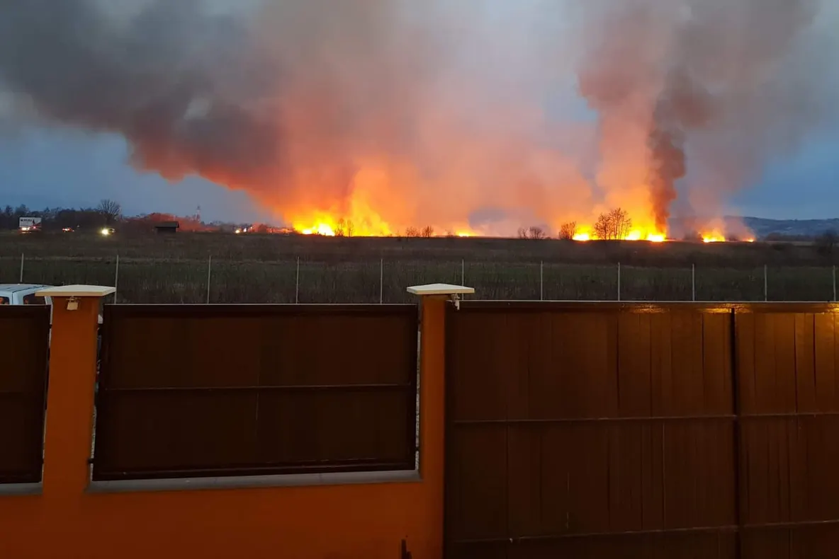 Incendiu violent de vegetaţie! Traficul pe DN1, blocat!