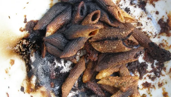 Incendiu nimicitor, după ce 3 studenți au gătit paste FĂRĂ apă! Ce a urmat a șocat