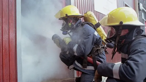 Incendiu violent la o fermă de porci, din Argeș