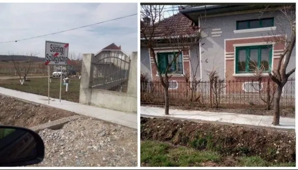 Copaci îngropați în ciment, într-o comună din Sălaj