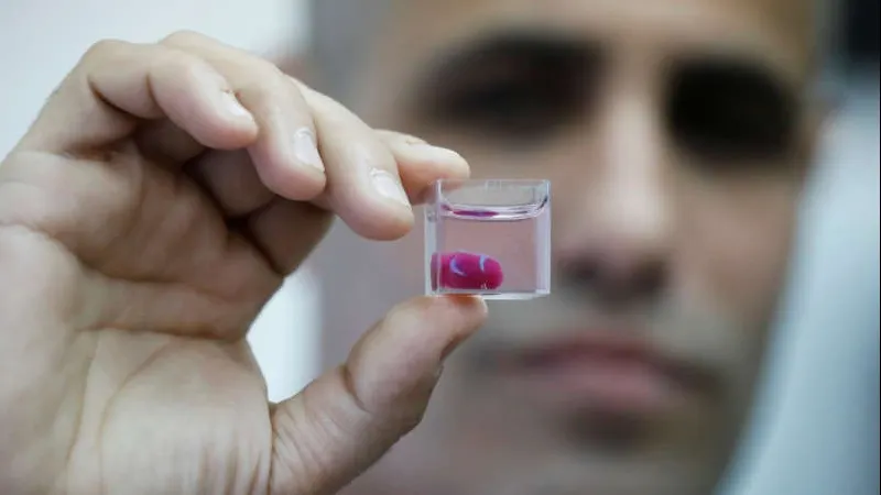 Inimă printată 3D de cercetători. Cum a fost posibil așa ceva 