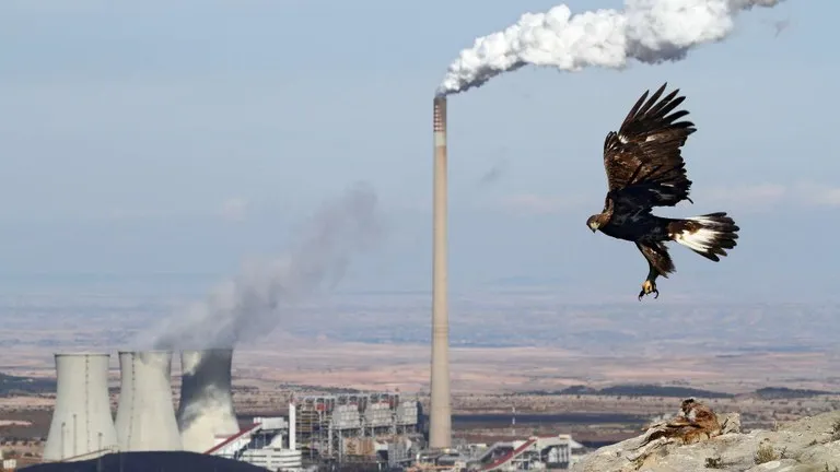 Dezastru ecologic. Peste 1 milion de specii de plante și animale riscă să dispară