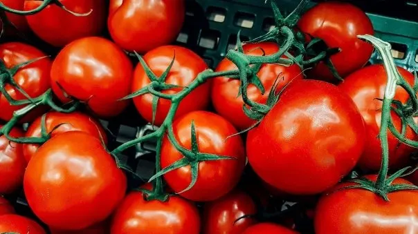Au apărut roşiile româneşti în pieţe. Nu te poţi atinge de ele! Preţurile uriaşe