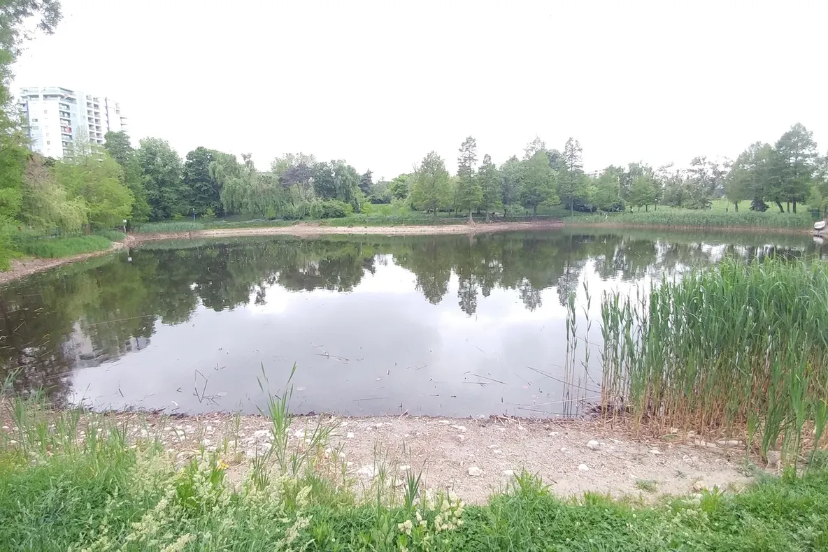 De ce seacă unul dintre cele mai frumoase lacuri din București. Protest în Parcul Circului