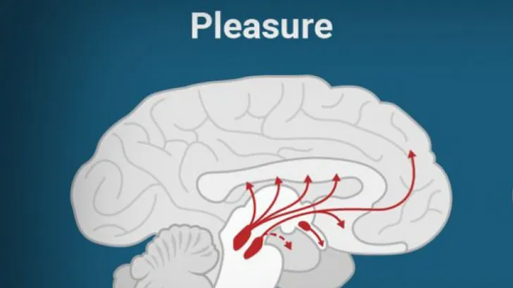 Ce produce la fel de multă plăcere ca un act sexual