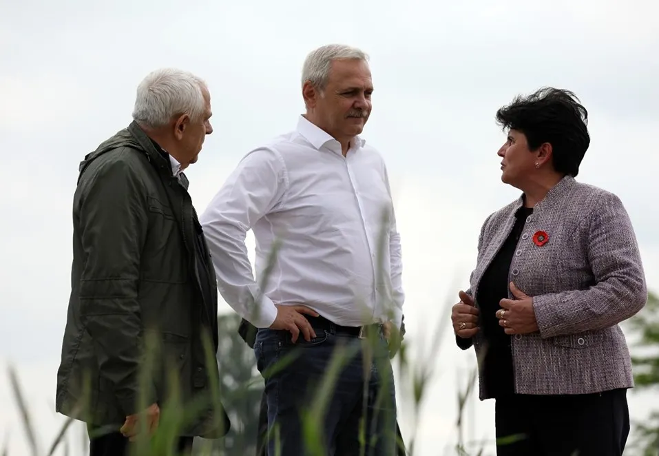 Liviu Dragnea şi Petre Daea, "pictorial" de excepție pe câmp (GALERIE FOTO)