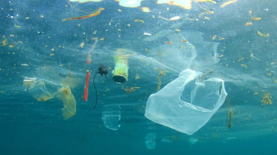 Toate lucrurile cruciale pe care nu le știai despre plastic