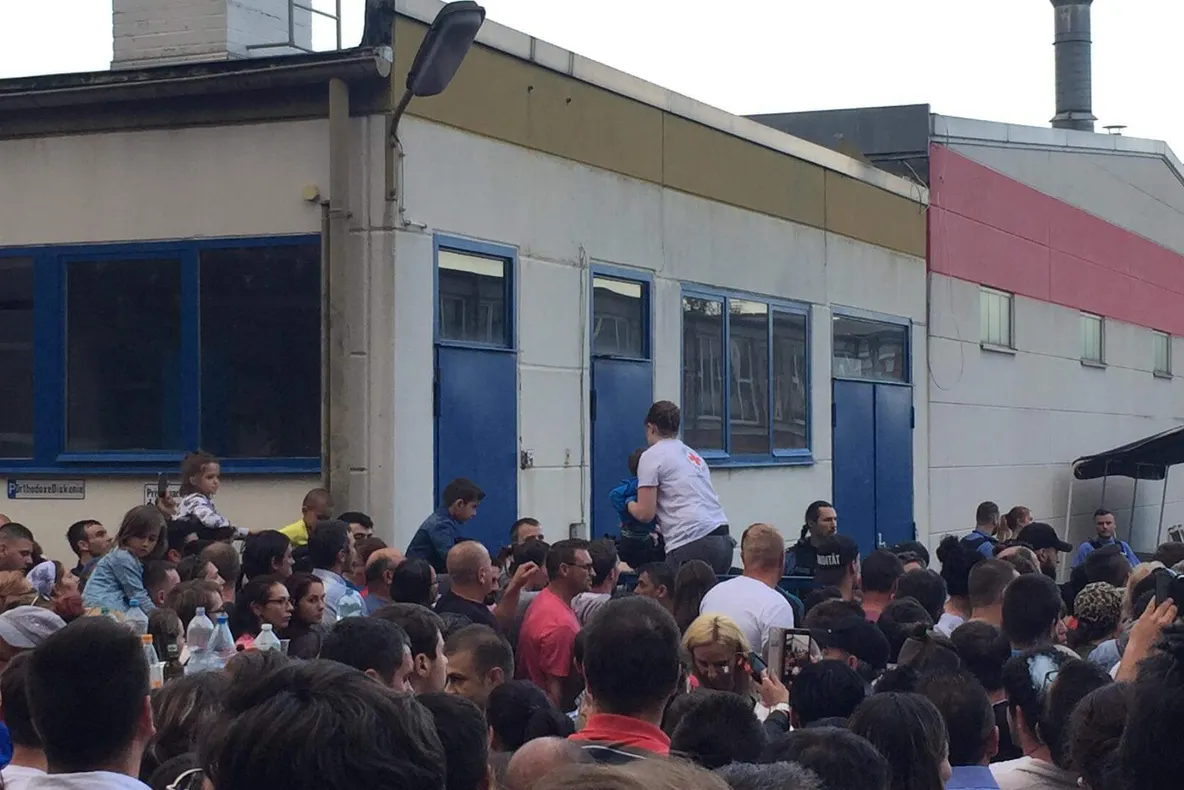 PSD, umilit de alegători din diaspora: 3,09%. USR PLUS, pe primul loc: 41,42%