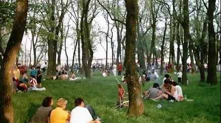 Încep tratamentele împotriva insectelor. Ce îi așteaptă pe bucureșteni