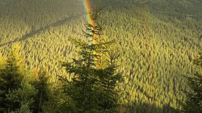 Imaginile fantastice surprinse în Bucovina fac ravagii pe Facebook