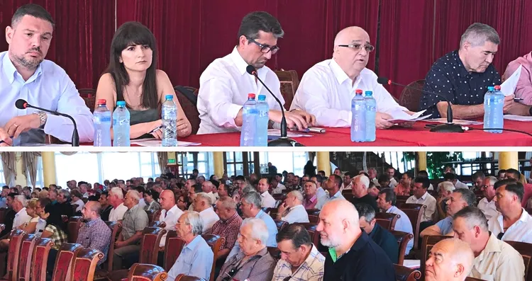 Ședință cu bipuri la PSD Constanța înainte de întâlnirea cu Dăncilă