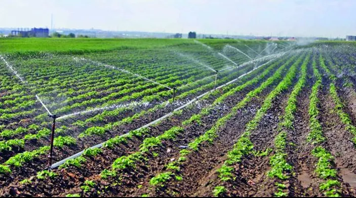 Fermierii au la dispoziţie 200 mil. euro pe an pentru investiţii în infrastructura de irigații