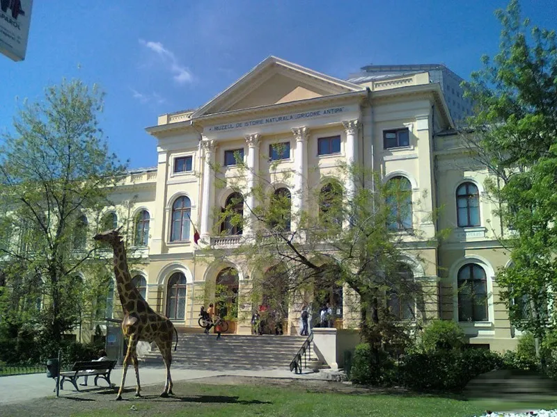 Scandalul Antipa. Directorul muzeului și ministrul Culturii vor fi audiați în Camera Deputaţilor