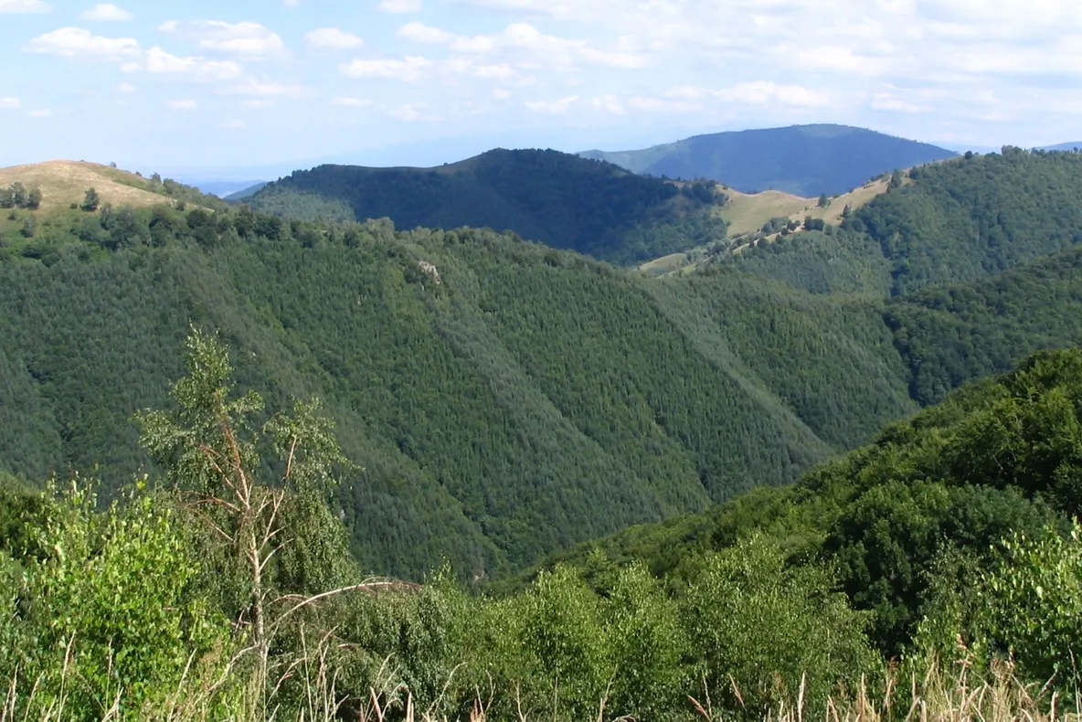Doi turiști belgieni, rătăciți în zona Păltiniș