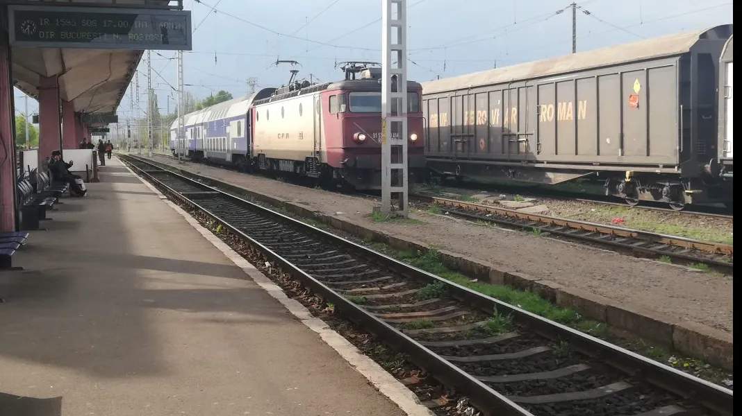 Copaci căzuți pe calea ferată. Trenuri cu întârzieri de sute de minute