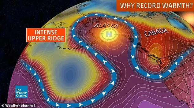 Alaska se prăjește! Temperaturi incredibile la un pas de Polul Nord