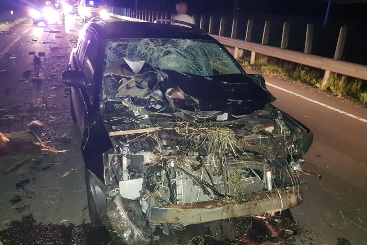 Un căruțaș beat a băgat doi oameni nevinovați în spital