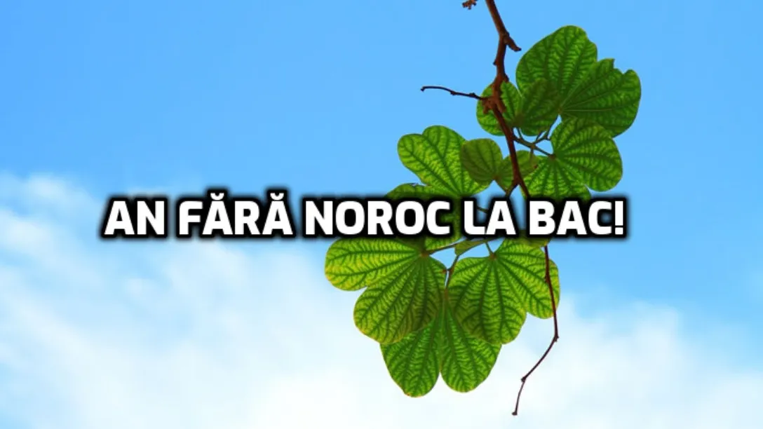 Rezultate BAC 2019 - Cel mai mic număr de promovați din ultimii 5 ani!