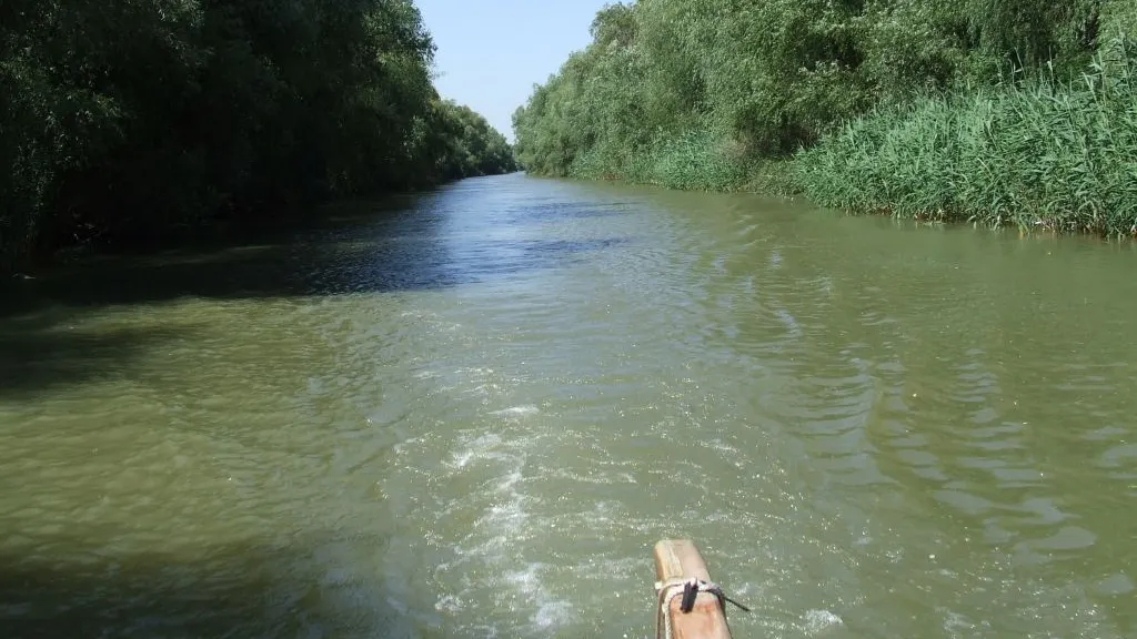 Accident naval în Delta Dunării. Două ambarcaţiuni cu turişti s-au ciocnit