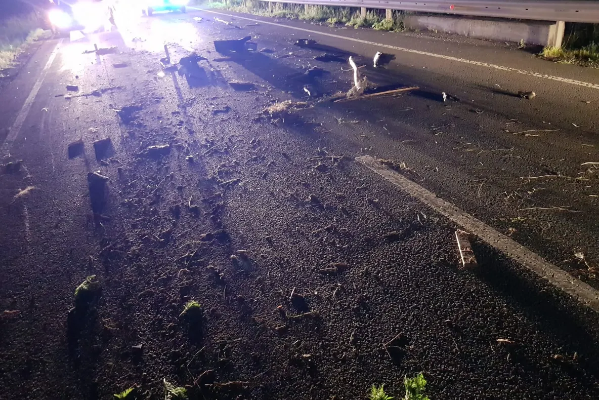 Băiețelul de 8 ani din "căruța morții" nu a mai putut fi salvat