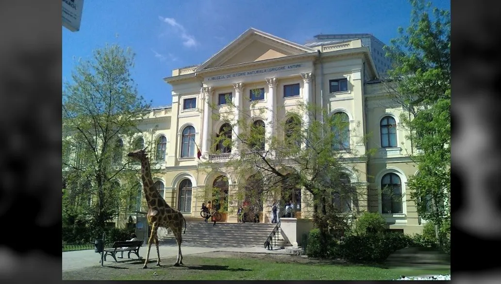 Antipa se redeschide începând cu 1 Iunie. Ce reguli trebuie să respecți dacă vrei să faci o vizită la muzeu