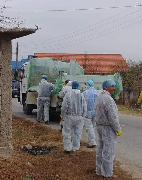 Dezastrul din administrație. Județul Buzău, la mila Domnului, în cazul izbucnirii unei epidemii precum pesta porcină
