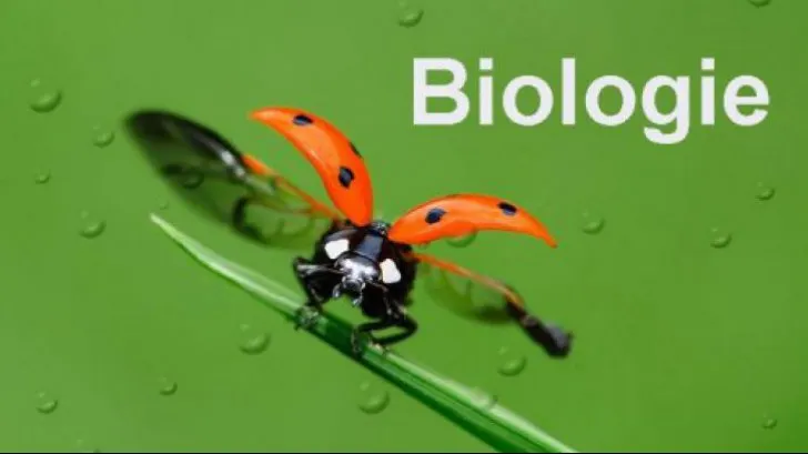 Subiecte BAC 2019 - Biologie - Bareme, subiecte, corectari, punctaje