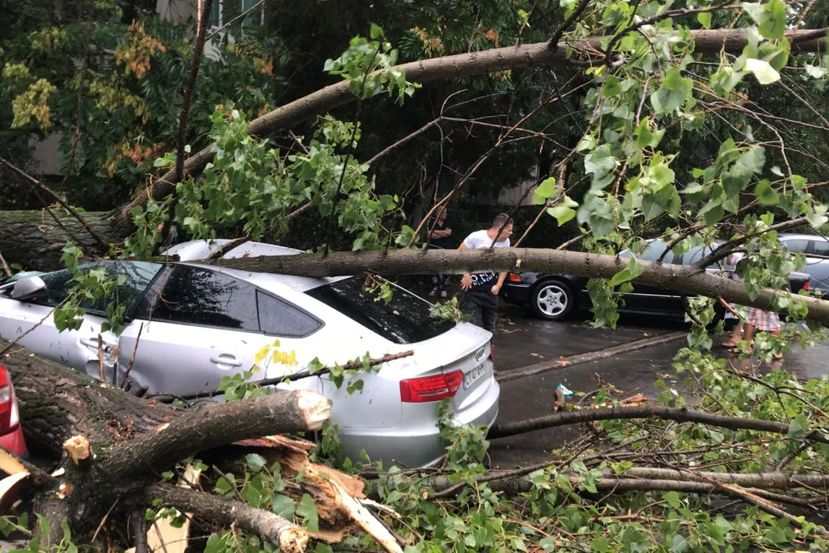 Copaci căzuți pe mașini și străzi inundate în Brăila și Galați, în urma fenomenelor meteo extreme. Zeci de apeluri la 112 miercuri seară 