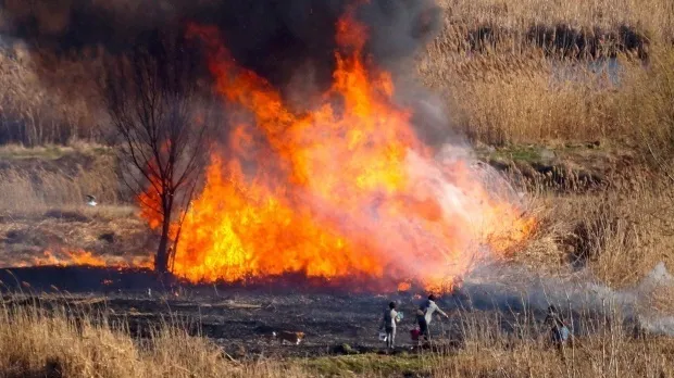 Caz tragic în Giurgiu: Bărbat ars de viu într-un incendiu de vegetație uscată