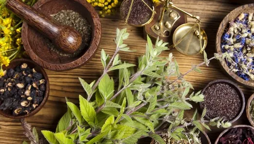 Plantele de leac potrivite pentru zodia ta. Fac minuni pentru sănătate
