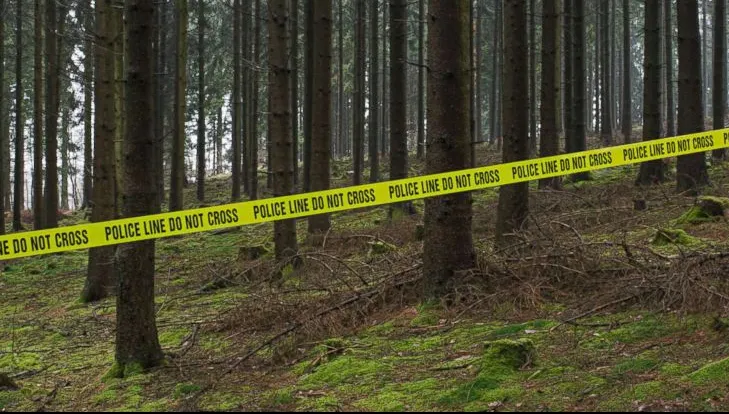 Șase persoane cu vârsta între 62 și 85 de ani, arestate pentru "acte sexuale" în pădure