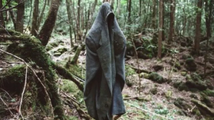 Cea mai terifiantă pădure din lume ascunde un SECRET ORIBIL! Autorităţile sunt depășite! Copacii...