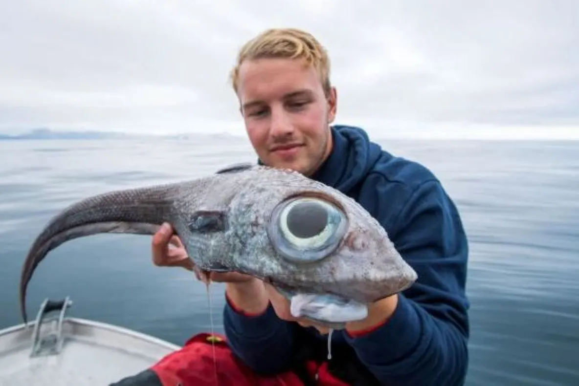 Peștele ”extraterestru” tras în barcă din abisul mării de un pescar uluit. Imaginile care fac furori