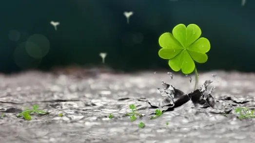 Horoscop financiar 16-22 septembrie. Câștiguri cu multe zerouri. Zodia care adună un munte de bani