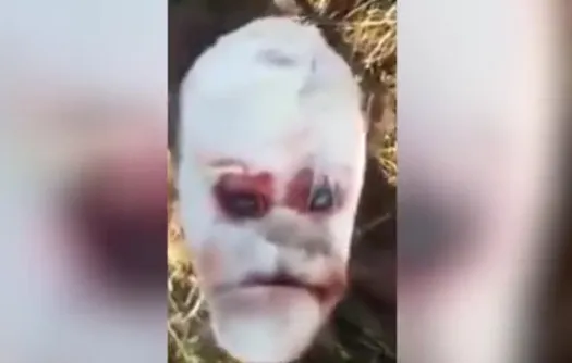 Imagini terifiante, în Argentina! Misterul vițelușului-mutant cu față de OM. Cum arată creatura