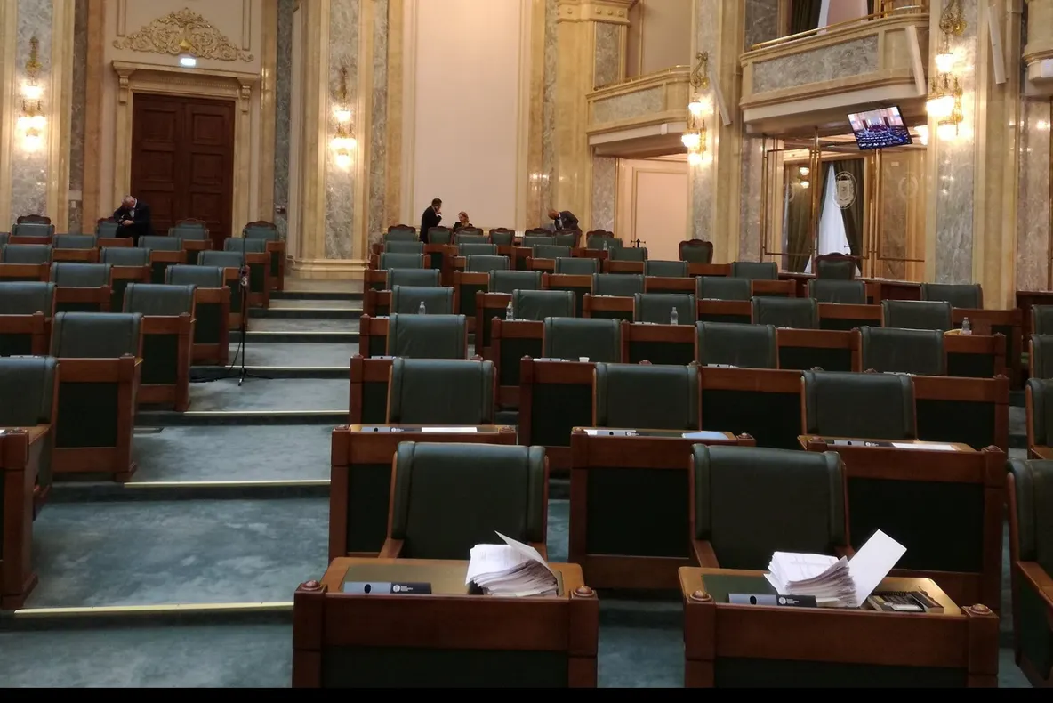 Dăncilă, acuzată că s-a dus la ”cumpărături” la Senat
