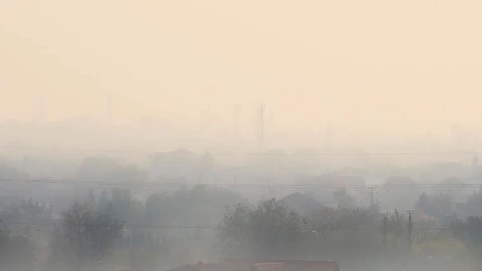 Fenomen îngrijorător în vestul României. Avertisment pentru localnici