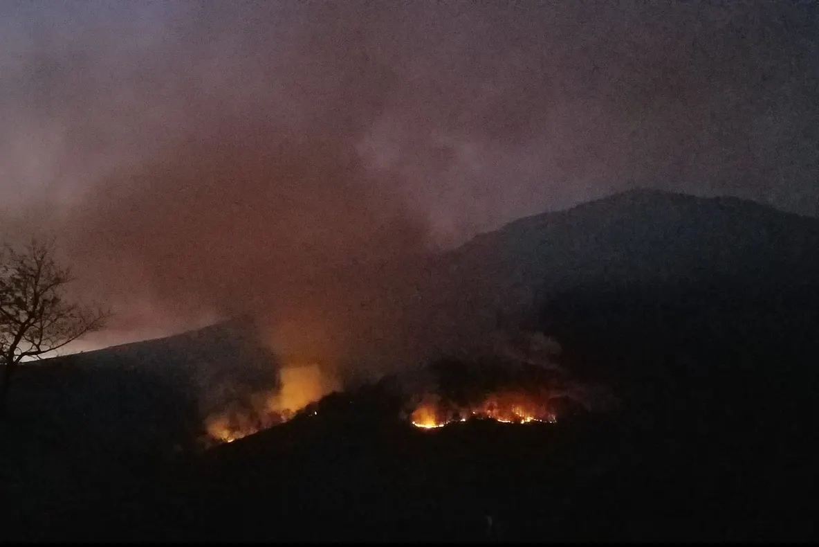  Incendiul continuă să facă ravagii în Pădurea din Apuseni! Raed Arafat: ”A fost ceață la București”