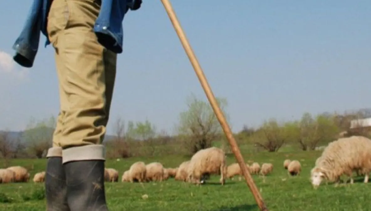 Crimă înfiorătoare la o stână din Olt! Un cioban și-a ucis iubita într-un mod cumplit