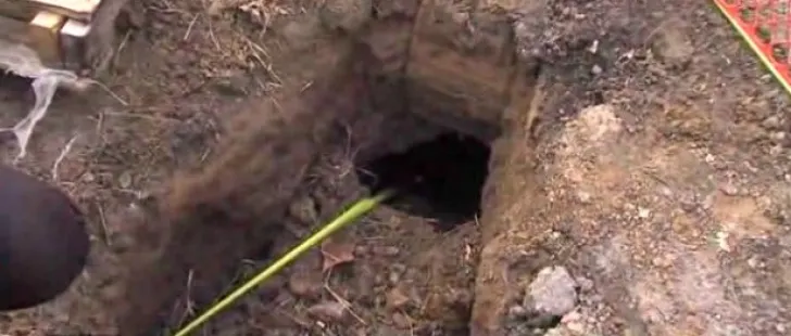 Au găsit o gaură în curtea casei. Se auzeau sunete de acolo. Au ÎNGHEŢAT când au văzut cine a ieşit