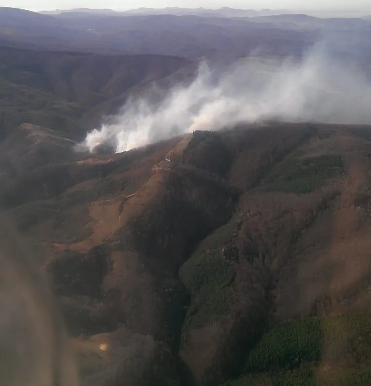 Arde pădurea din zona Cornereva, în județul Caraș Severin
