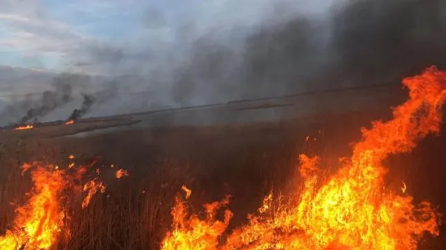 Italia cere AJUTOR  statelor europene în lupta cu FLĂCĂRILE din insula Sardinia. Situația este DISPERATĂ