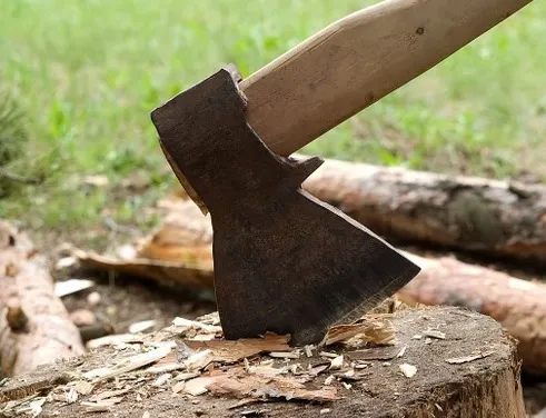Strivit de copac, a sunat la 112. Bărbatul avea doar câinele alături. Ce a urmat