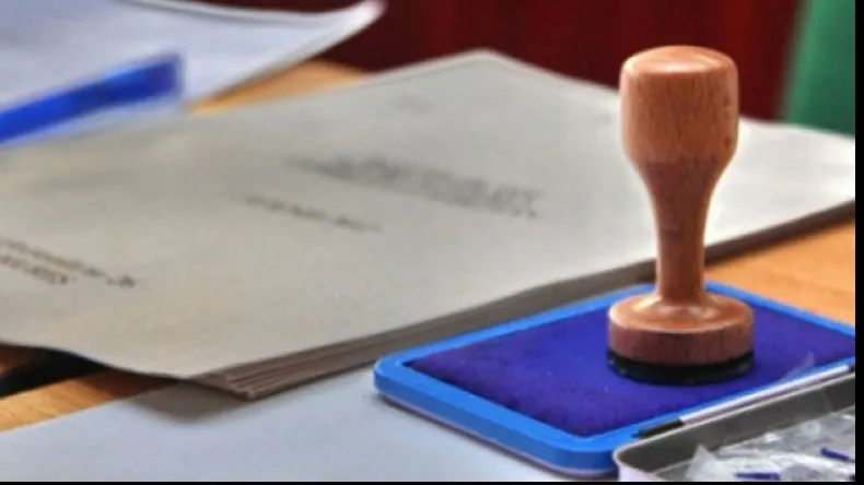 MAE cere 122 de milioane de lei pentru organizarea alegerilor din diaspora