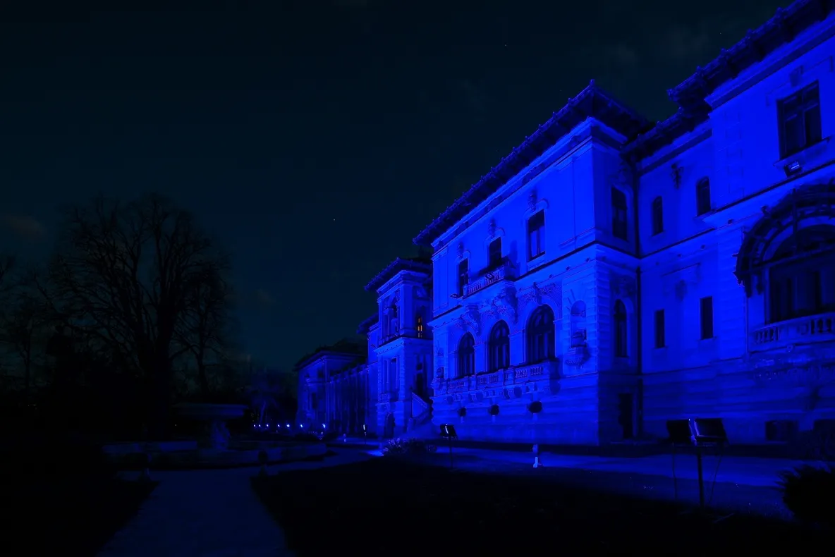 Palatul Cotroceni, iluminat în albastru o zi întreagă. Care este motivul