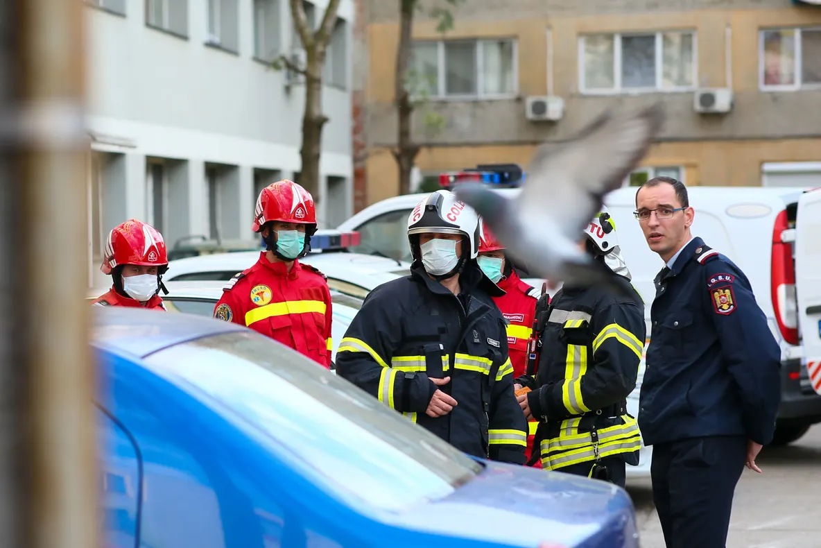 Deratizare Timișoara. 112, noi apeluri de la locatari care acuză stări de rău